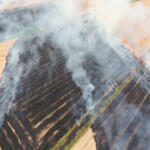 Dry conditions, extreme heat and widespread burn bans are adding new challenges as Northeast Arkansas farmers prepare for post-harvest field burning — while a deadly 2023 crash serves as a warning about the dangers of smoke on area highways.
