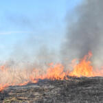 Smoke from burning field contributes to Mississippi County Arkansas six-vehicle accident killing 2, injuring 2