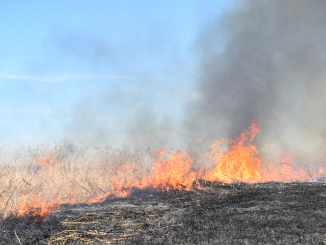 Smoke from burning field contributes to Mississippi County Arkansas six-vehicle accident killing 2, injuring 2