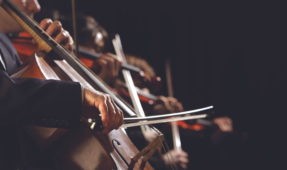 Delta Symphony Orchestra bringing first-of-its-kind concert to Jonesboro