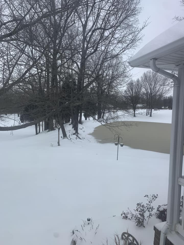 backyard covered in snow