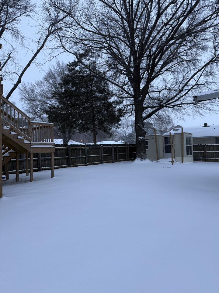 yard showing stairs and outbuilding