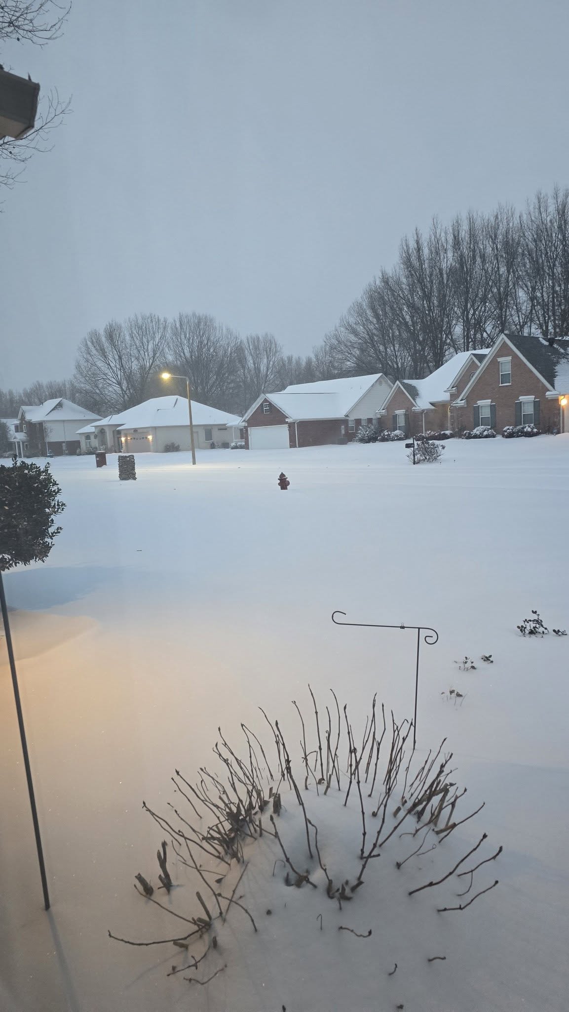neighborhood covered in snow