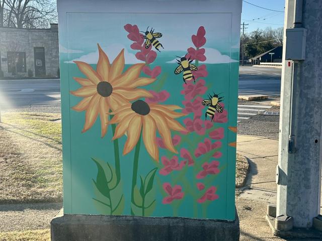 painted traffic control cabinet