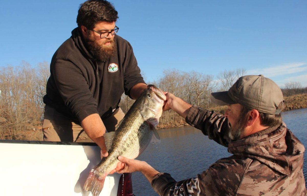 A man hands a large bass off to another man