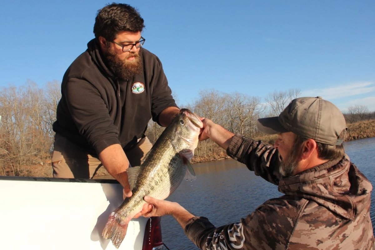 A man hands a large bass off to another man
