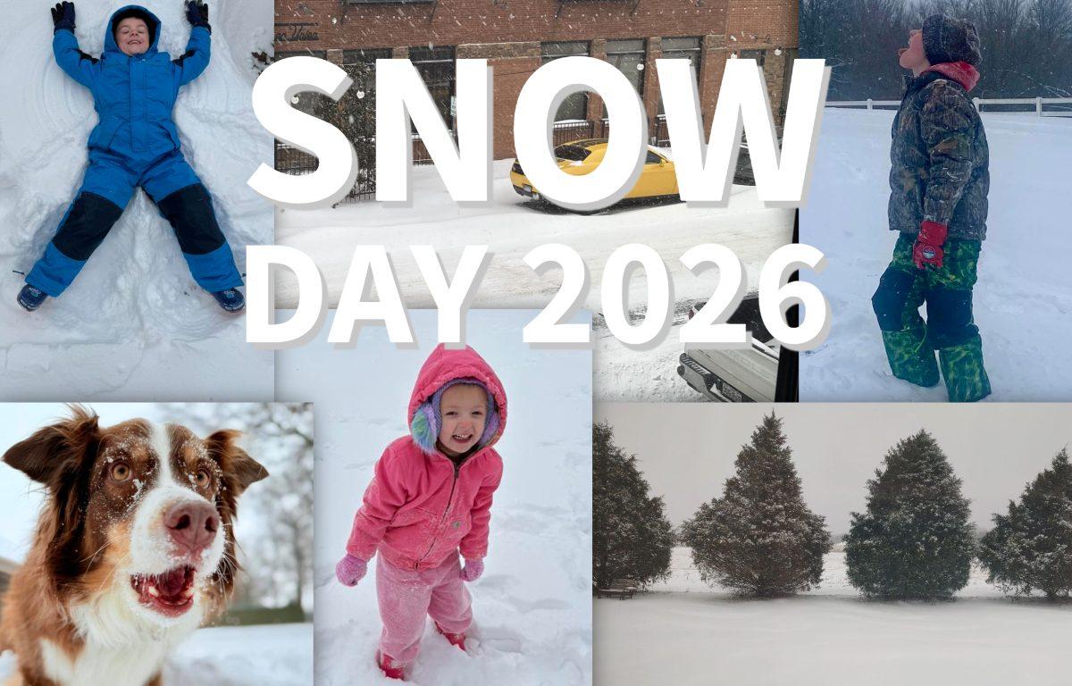 compilation of snow day images