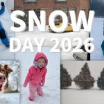 compilation of snow day images