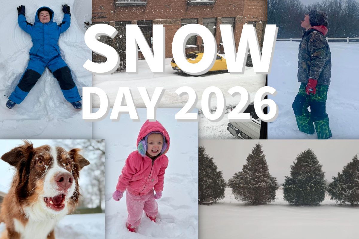 compilation of snow day images