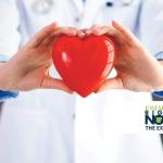 doctor holding plastic heart