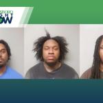 lowes theft attempt mug shots