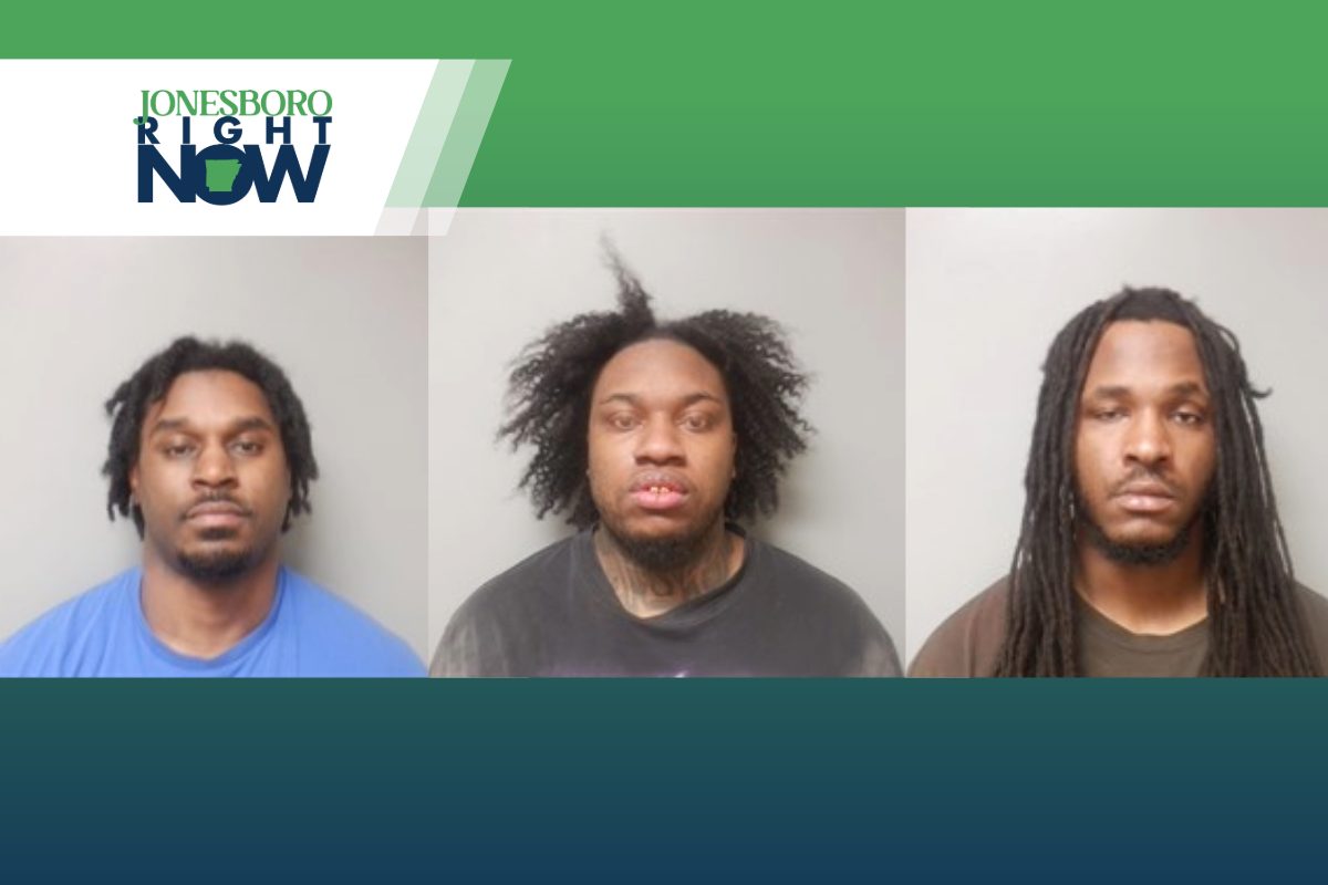 lowes theft attempt mug shots