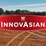 Development image with Innovasian logo in foreground