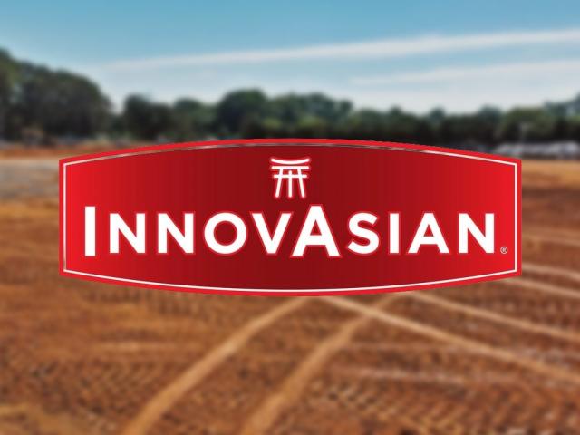 Development image with Innovasian logo in foreground