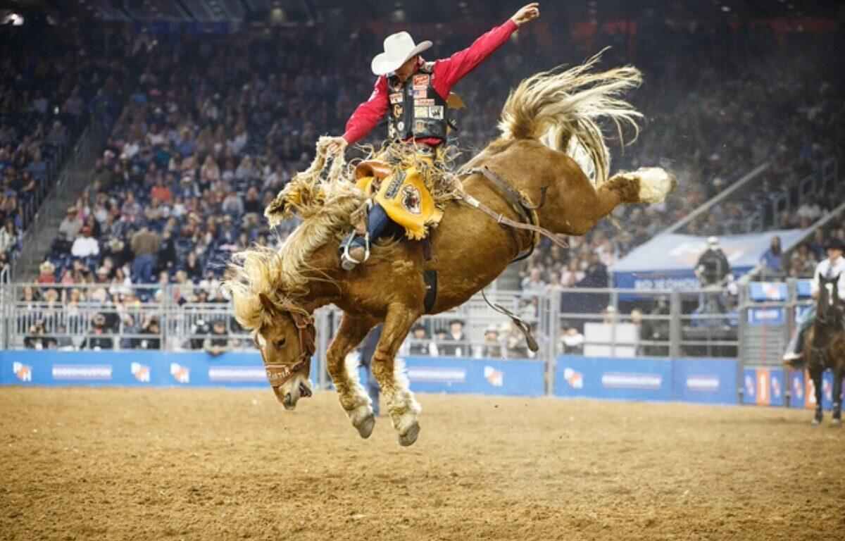 Rodeo rider in a white cowboy hat and red shirt bucking a brown horse in an arena, with a cheering crowd in the stands.