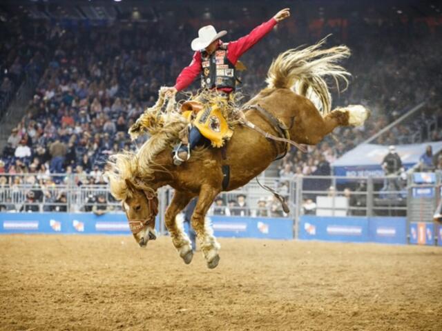 Rodeo rider in a white cowboy hat and red shirt bucking a brown horse in an arena, with a cheering crowd in the stands.