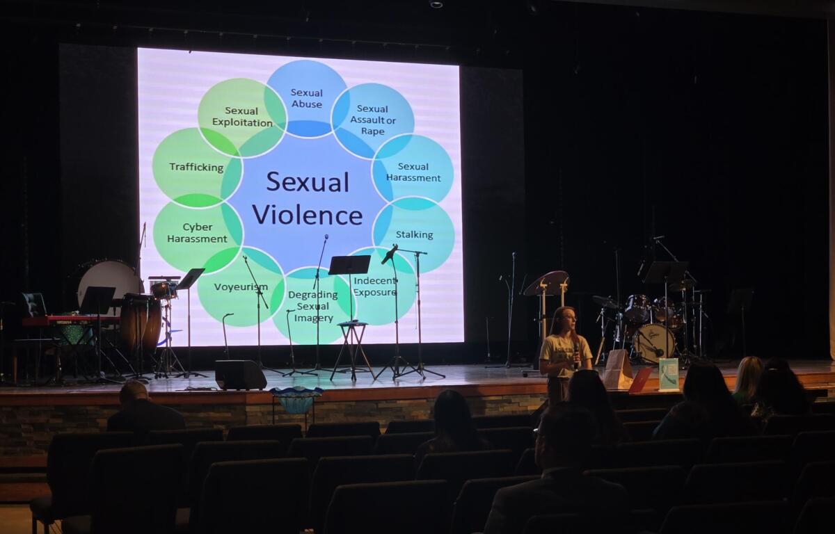Stage slide with a Venn-like diagram of sexual violence forms around a central 'Sexual Violence' label (exploitation, abuse, harassment, etc.).”,