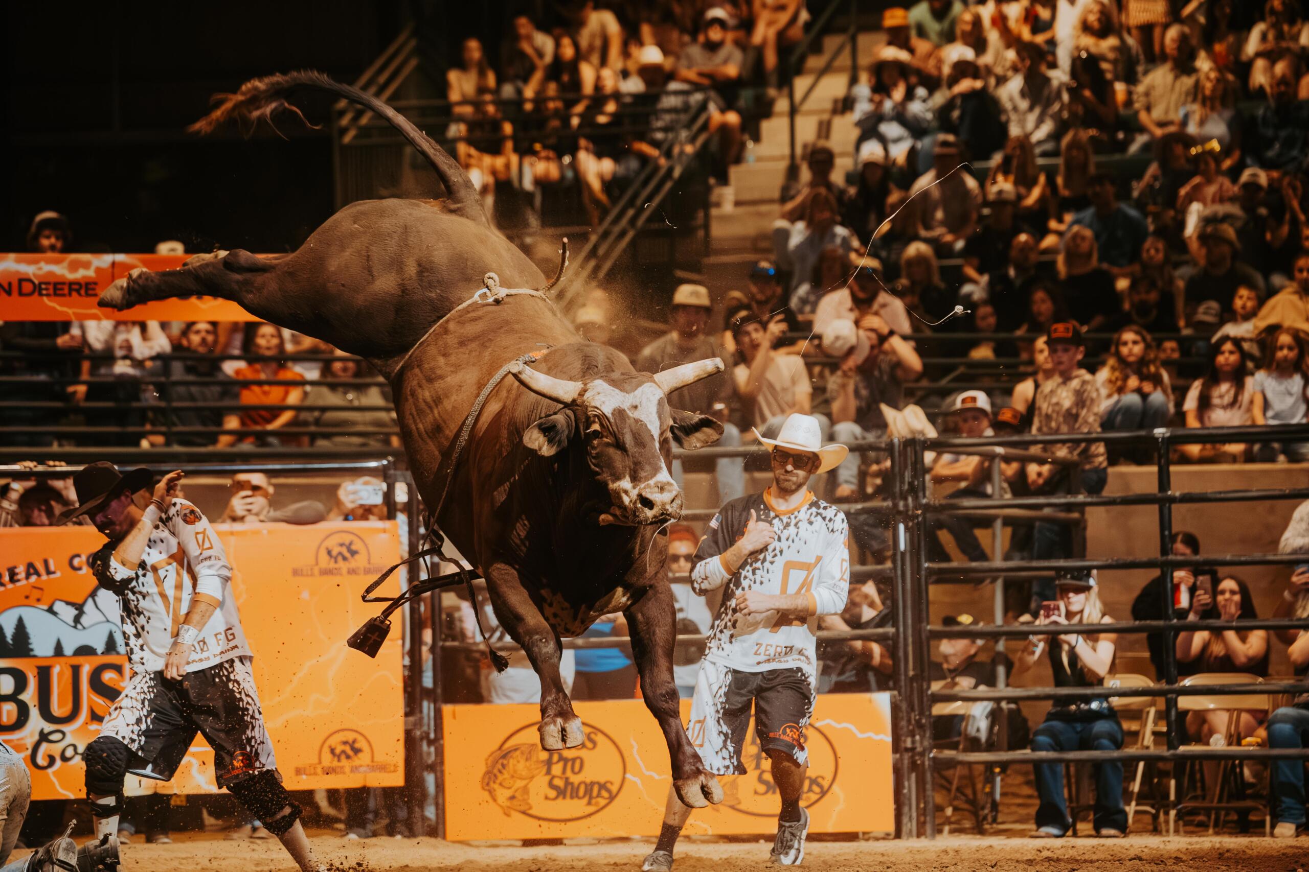 Championship Pro Rodeo Returning to Jonesboro, 2,000 Pound Bull to Make ...