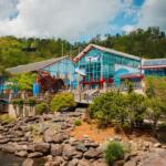Ripley's Aquarium of the Smokies