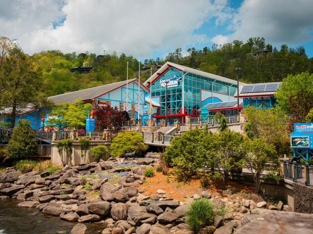 Ripley's Aquarium of the Smokies