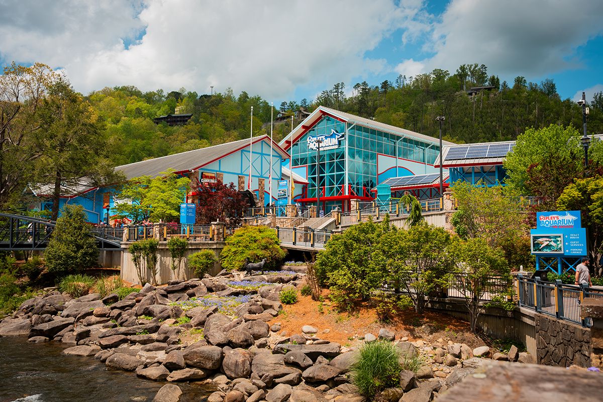 Ripley's Aquarium of the Smokies