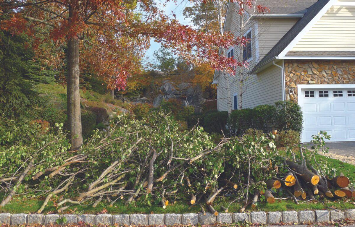 yard debris limb pickup