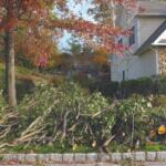 yard debris limb pickup