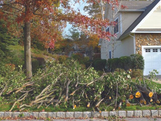 yard debris limb pickup