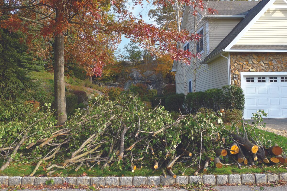 yard debris limb pickup