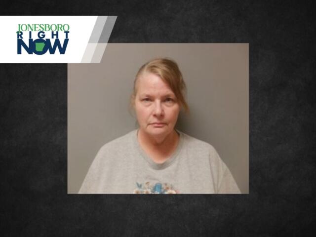 Lisa Bradford Mug