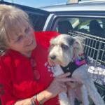 older woman with long hair in a red shirt holding a rescue dog
