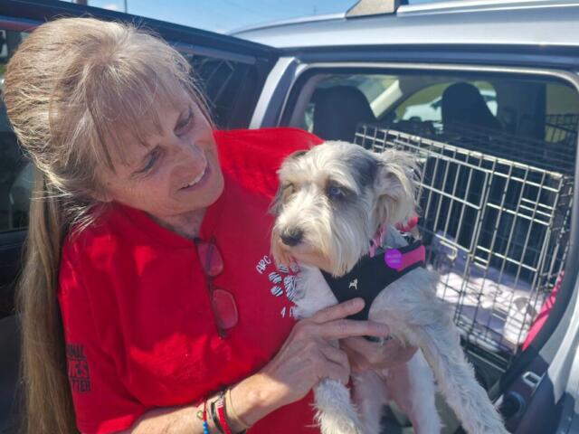 older woman with long hair in a red shirt holding a rescue dog