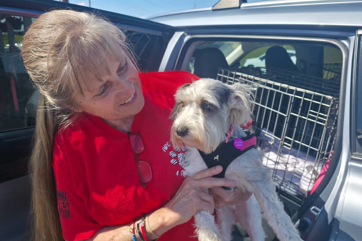 older woman with long hair in a red shirt holding a rescue dog