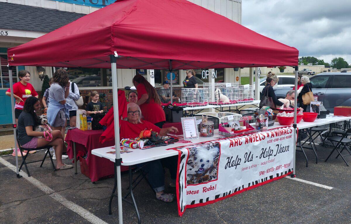 Outdoor pet adoption booth under a red canopy; people chat near cages with small dogs, banner reads 'Help Us – Help Them' for ARC Angels Animal Rescue.