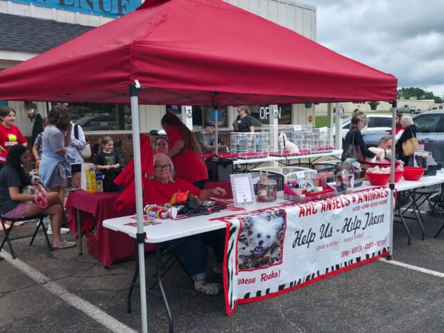 Outdoor pet adoption booth under a red canopy; people chat near cages with small dogs, banner reads 'Help Us – Help Them' for ARC Angels Animal Rescue.