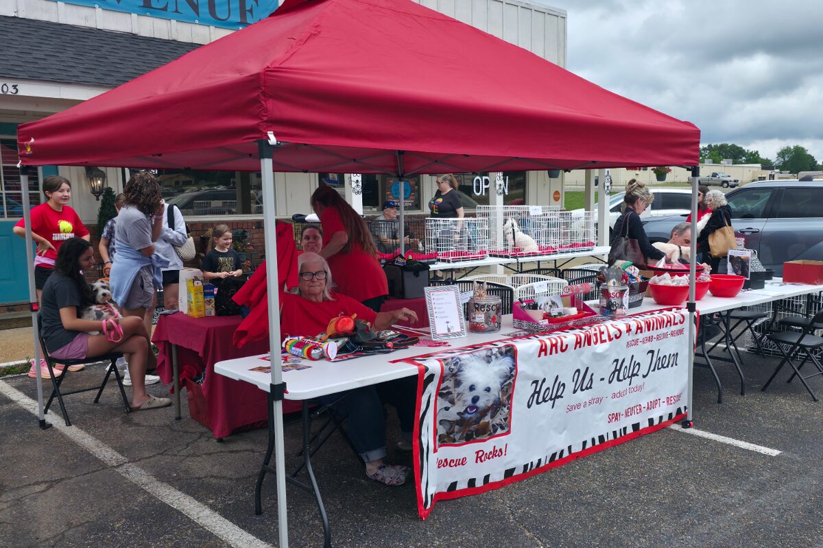 Outdoor pet adoption booth under a red canopy; people chat near cages with small dogs, banner reads 'Help Us – Help Them' for ARC Angels Animal Rescue.