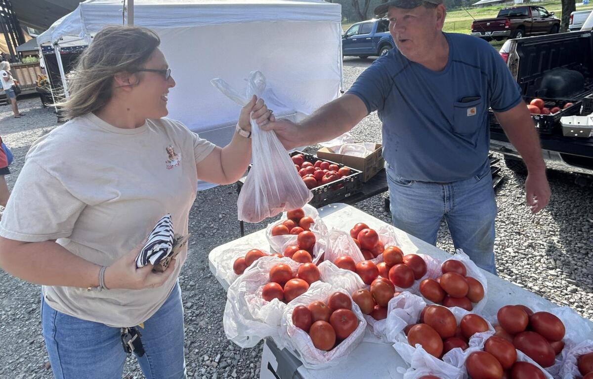 Two people at an outdoor market exchanging a plastic bag of tomatoes, with crates of fresh tomatoes on tables nearby.