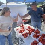 Two people at an outdoor market exchanging a plastic bag of tomatoes, with crates of fresh tomatoes on tables nearby.