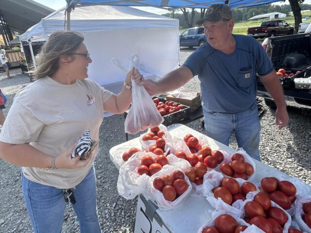 Two people at an outdoor market exchanging a plastic bag of tomatoes, with crates of fresh tomatoes on tables nearby.
