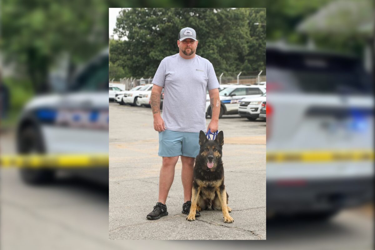 Man in a gray t-shirt and blue shorts stands next to a German Shepherd in a parking lot, both looking at the camera.