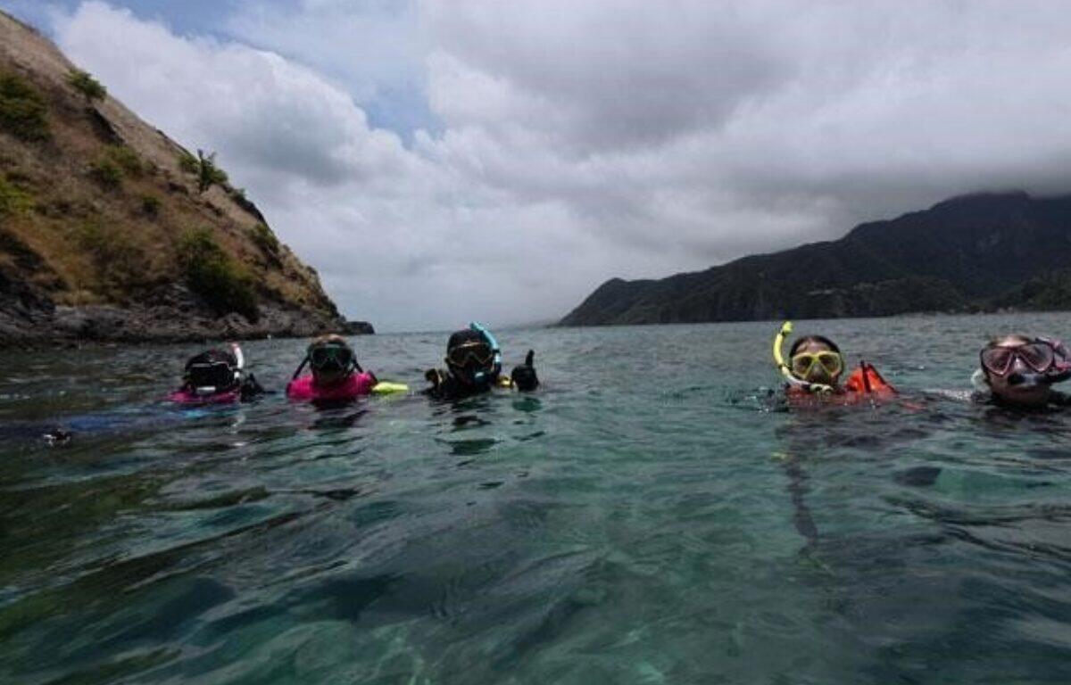 Group of snorkelers floating in clear turquoise water near rocky shore as mountains loom in overcast sky behind them