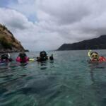Group of snorkelers floating in clear turquoise water near rocky shore as mountains loom in overcast sky behind them
