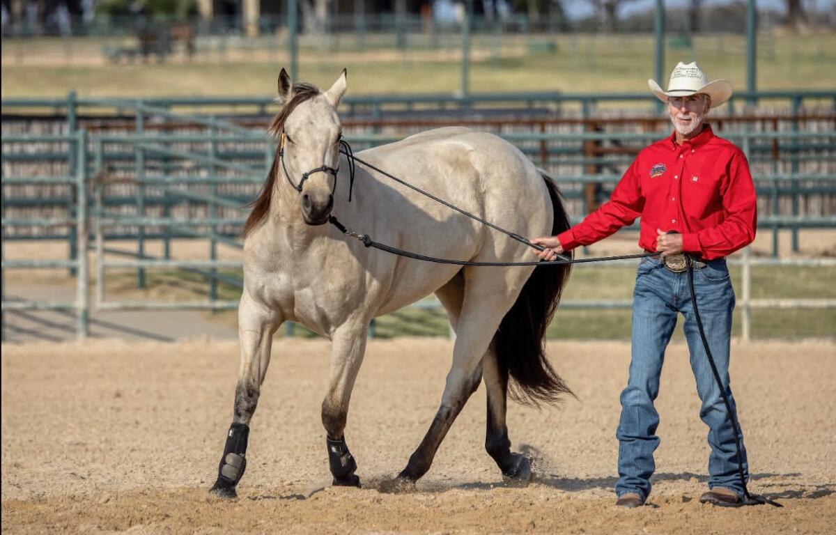 Man in a red shirt and cowboy hat walks a gray horse on a lunge line in a sandy arena.