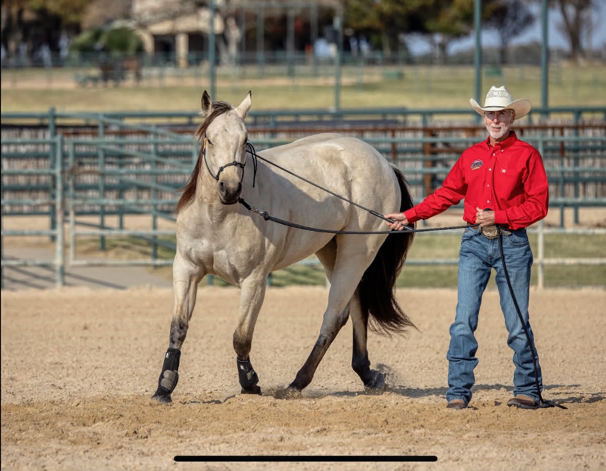 Man in a red shirt and cowboy hat walks a gray horse on a lunge line in a sandy arena.