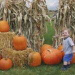 Smiling toddler in a gray shirt and blue shorts stands among pumpkins and hay bales in a pumpkin patch.