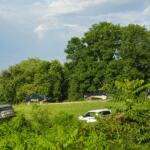Body of Missing Juvenile Recovered After 3-Day Search in Craighead County