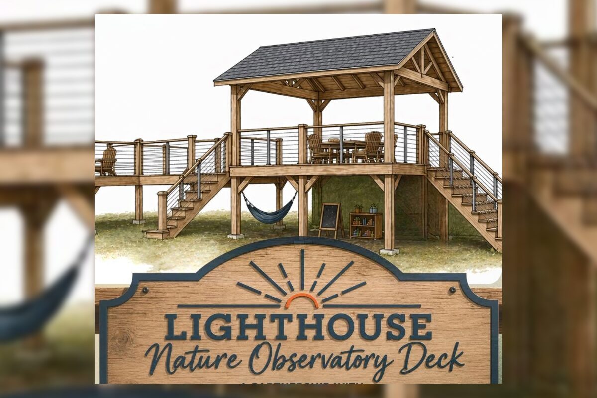 Raised wooden deck with stairs and hammock beneath a pavilion; sign reads 'Lighthouse Nature Observatory Deck'.