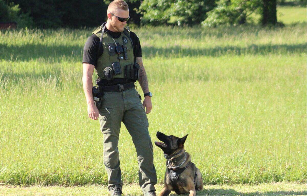 K9 handler in a green tactical vest and sunglasses stands in a grassy field beside a German Shepherd wearing a collar and leash.