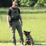 K9 handler in a green tactical vest and sunglasses stands in a grassy field beside a German Shepherd wearing a collar and leash.