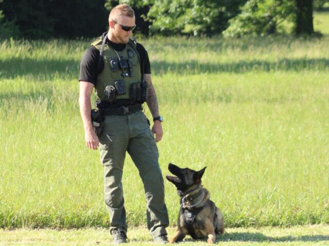 K9 handler in a green tactical vest and sunglasses stands in a grassy field beside a German Shepherd wearing a collar and leash.